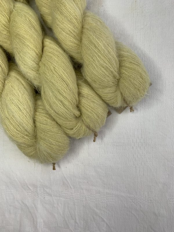 Suri-alpaca | Regnfan #01